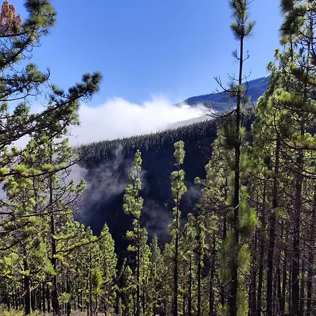 Mng-apart Paradise Court *